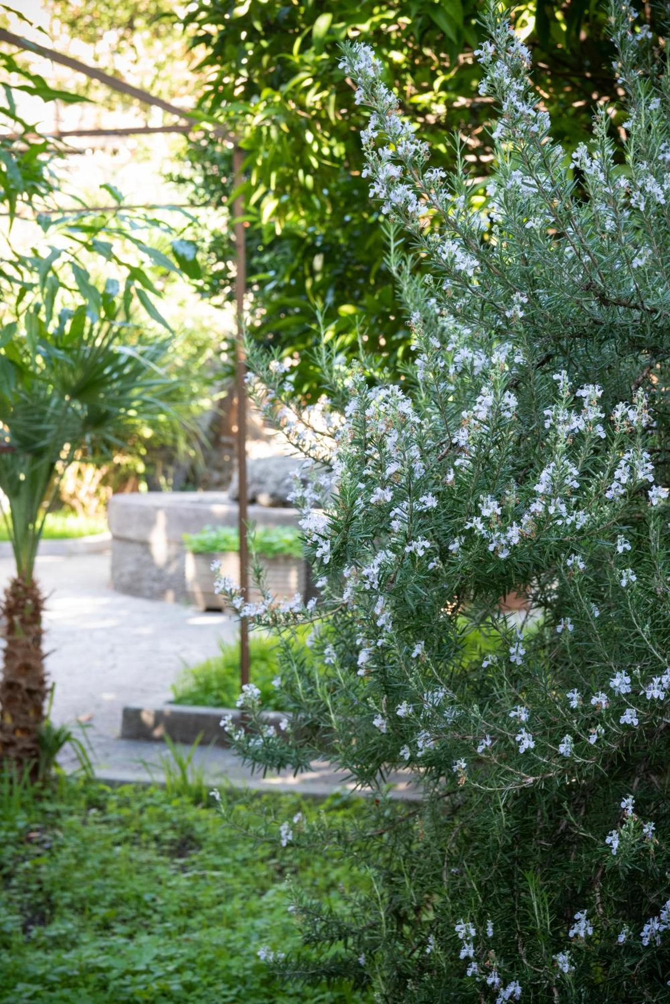 Residenza Leone XIII Hotell Rom Exteriör bild